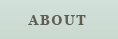 About Mauney and Associates
