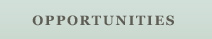 Opportunities with Mauney and Associates